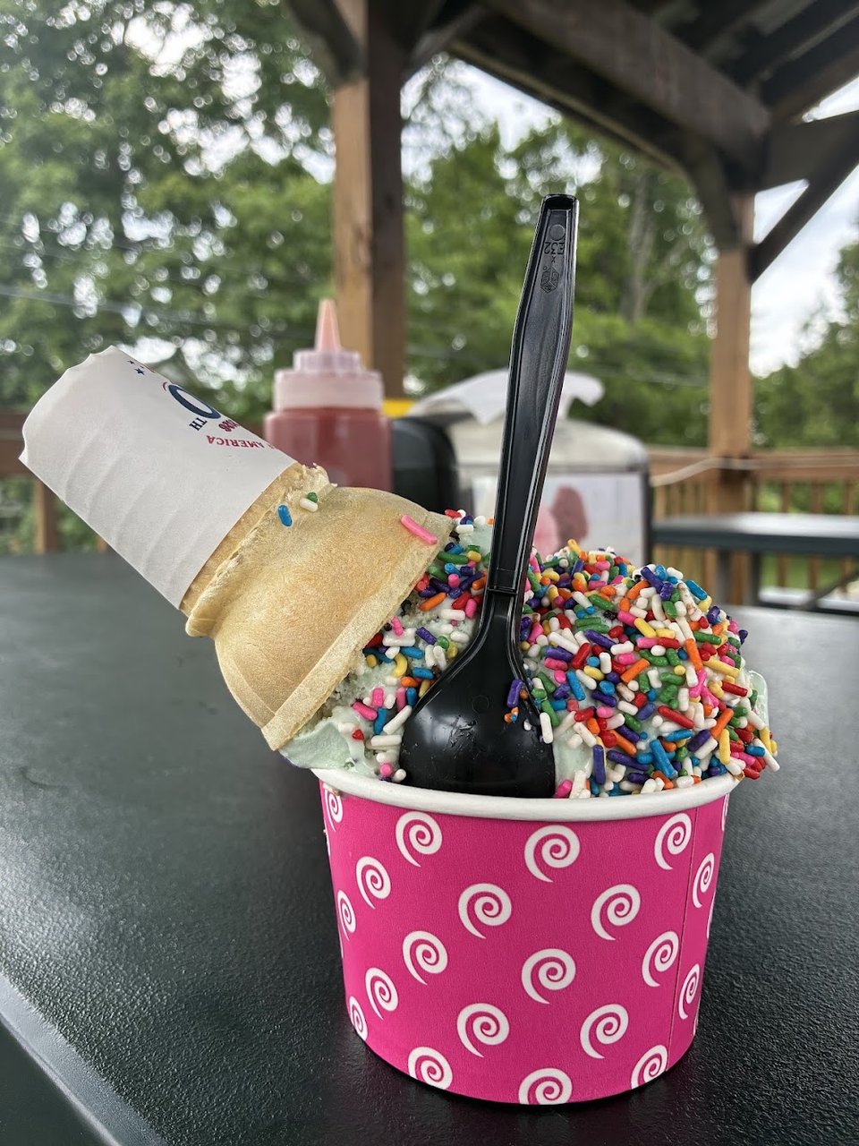 Ice Cream with Rainbow Sprinkles